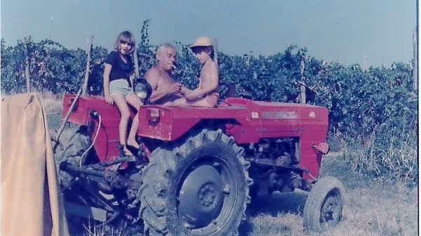 Kot mulci smo neizmerno uživali, ko smo lahko med trgatvijo sedli 
na ogromen rdeč traktor.