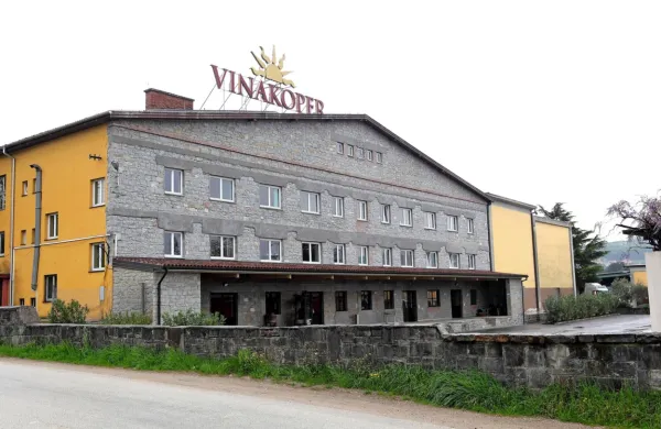 Vinakoper je s skoraj 600 hektarji vinogradov in povprečno 3,2 
milijona litrov pridelanega vina najpomembnejši vinar v regiji.

