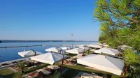 Festival Malvazija, žlahtni okus Mediterana naj bi letos potekal 
prvi julijski konec tedna na plaži Meduza v Portorožu.