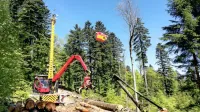 Dijaki 2. letnika gozdarske šole so včeraj prikazali spravilo lesa s 
pomočjo gozdne žičnice. 