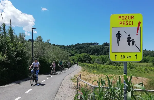 Izolska Parencana v nedeljo okrog 13. ure. Le koliko kolesarjev vidi 
znak, ki jih po novem opozarja na pešce?