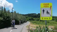 Izolska Parencana v nedeljo okrog 13. ure. Le koliko kolesarjev vidi 
znak, ki jih po novem opozarja na pešce?
