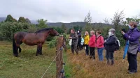 Obisk kmetije Sedmak je primeren za vse generacije, njihove živali 
pa najbolj pritegnejo otroke.