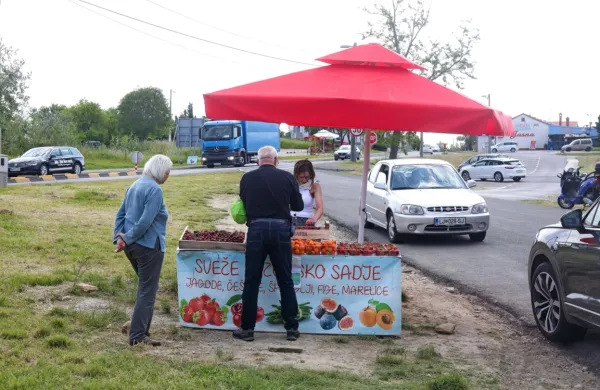 Izolski Belveder je priljubljen prostor za obcestne stojnice preprodajalcev sadja in zelenjave, ki  inšpektorjem za varno hrano pogosto ne morejo dokazati, 
od kod prihajajo jagode, češnje, marelice ..., ki jih ponujajo.   
