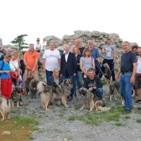 V nedeljo so v Štanjelu paradirali številni  kraški ovčarji in njihovi 
ponosni lastniki.  