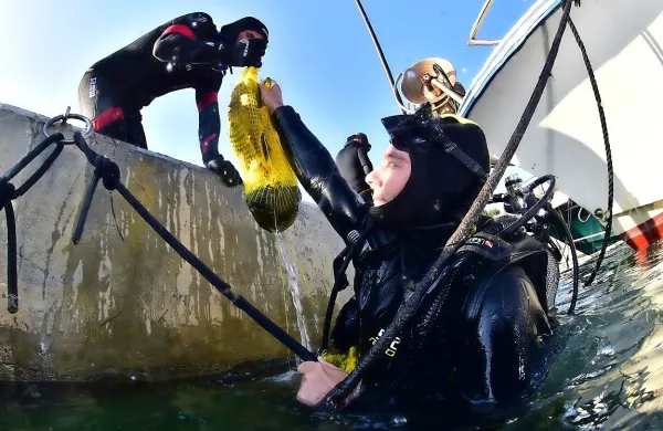 V morju med Savudrijo in Piranom je vse manj plastike in potapljači upajo, da ozaveščenost glede 
onesnaževanja morja ne bo zamrla. 