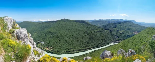 Sabotin je zanimiv tudi za botanike, saj se na njegovem zahodnem pobočju zaključuje sredozemsko podnebje, proti Soči pa je že čutiti predalpsko klimo, zato na njem rastejo zelo raznolike rastline. 