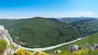 Sabotin je zanimiv tudi za botanike, saj se na njegovem zahodnem pobočju zaključuje sredozemsko podnebje, proti Soči pa je že čutiti predalpsko klimo, zato na njem rastejo zelo raznolike rastline. 