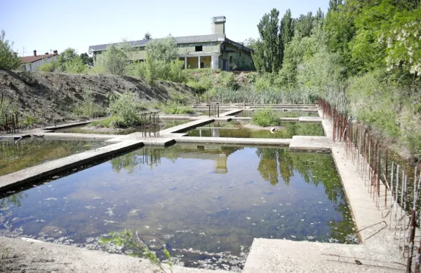 Ne le vrtovi in pokopališča, tudi zapuščena gradbišča kot na Ronketu so gojišče komarjev. 