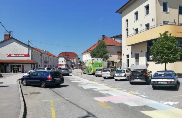 Ob Tržaški cesti bo po prenovi polovica manj parkirnih mest, zato se zlasti trgovine in podjetja bojijo, da  jim bo upadel promet. 