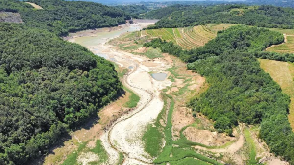 Dela na pregradi ponujajo redek pogled na dolino, kakršna je bila, 
preden je nastal zadrževalnik na potoku Vogršček. 