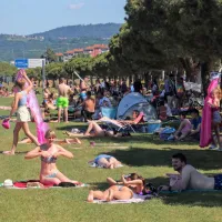 Kako pomembna so drevesa in njihova blagodejna senca, se 
najbolj spomnimo prav poleti. 