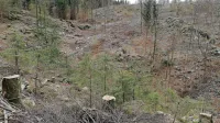 Ljubitelji Trnovskega gozda so zadovoljni z dogovori z gozdarsko stroko, po katerih naj v prihodnje ne bi bilo več  sečnje na velikih 
površinah. 