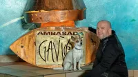 Edis Bečić je program v Ambasadi Gavioli snoval  v letih 2005 in 
2006 ter v zadnjem obdobju po letu 2010. 