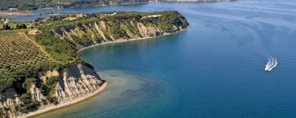 Morje je bilo polno deviz. A najbolj dragoceni so bili črvi.