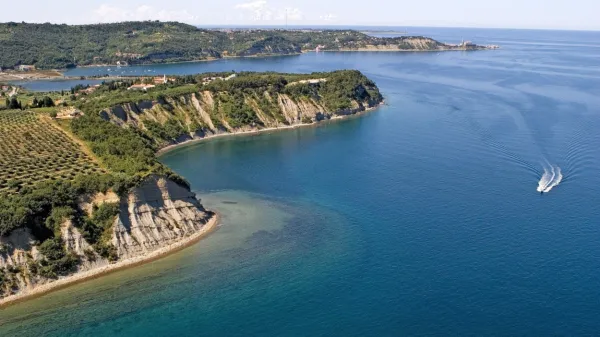 Morje je bilo polno deviz. A najbolj dragoceni so bili črvi.