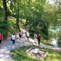 Željni sproščujočega sprehoda v senci? Pot ob jezeru je idealna izbira. 