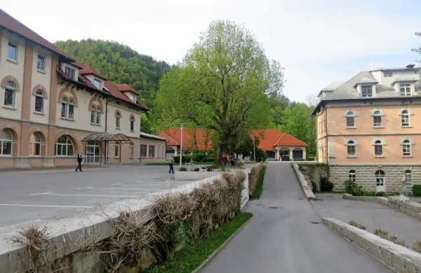 Ministrstvo za zdravje brez obrazložitve ne podpira poimenovanja 
PBI po nevropsihiatru dr. Jožetu Felcu.