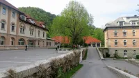 Ministrstvo za zdravje brez obrazložitve ne podpira poimenovanja 
PBI po nevropsihiatru dr. Jožetu Felcu.