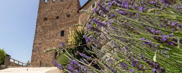 Od Kobdiljskega stolpa je vredno ubrati še pot do pokopališču v Kobdilju.