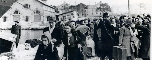 Veje tu, korenine tam in pot vmes