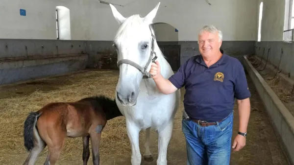 Ludva, kakor so ga klicali sodelavci v Lipici, je bil lipiška “bab'ca” 
- konjar, ki je 25 let skrbel za breje kobile, za žrebitve in žrebeta.  Ob 
vsaki uri in vremenu je pomagal več kot 600  lipicancem na ta 
svet.