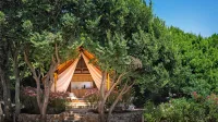 Glamping v luksuzno opremljenih šotorih lahko stane tudi več kot 
200 evrov na noč.
