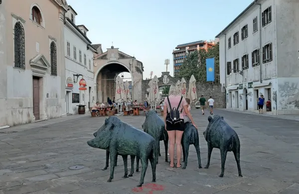 Čreda, ki jo je ustvaril Marijan Mirt,  na Prešernovem trgu zbuja veliko pozornosti. 