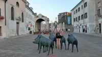 Čreda, ki jo je ustvaril Marijan Mirt,  na Prešernovem trgu zbuja veliko pozornosti. 