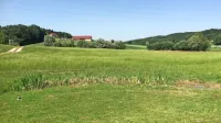 Travnik, kamor se zliva dragocena slatina iz treh vrtin.

