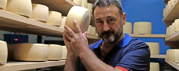 Dario Zidarič v zorilnici med svojimi cenjenimi siri.