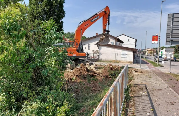 Drevesi so požagali. Stanovalci so ogorčeni, na občini pa odgovarjajo, da ni šlo drugače. 