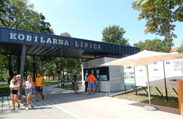 Mnogi obiskovalci Lipice so letos vstopnino plačali z letošnjimi 
turističnimi boni - doslej so jih vnovčili že čez tisoč.