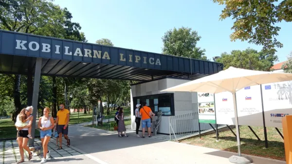 Mnogi obiskovalci Lipice so letos vstopnino plačali z letošnjimi 
turističnimi boni - doslej so jih vnovčili že čez tisoč.