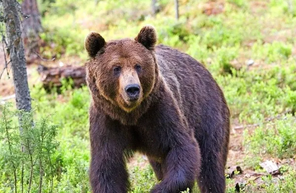 Fotografija je simbolična.