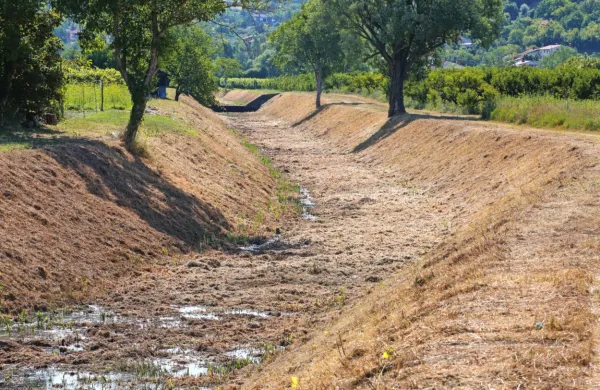 Pri košnji strme brežine se  ni  mogoče ogniti tudi vnosu rastlinja v 
reko Badaševico.