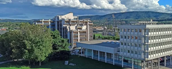 Prazna travna površina ob Pristaniški ulici v Kopru, ob njenem 
robu je gruča visokih dreves.
