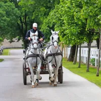 Korak od majhnosti do odličnosti