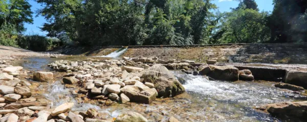 Reka Rižana zaznamuje dolino in okolico Dekanov.