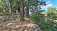 Nekatere  domačine skrbi zasipavanje terena nad brežinami reke 
Rižane v bližini turistične kmetije Mlin.