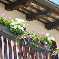 Rože na balkonih so dokaz, da je vas živa.