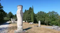 Skulpture na Seči se zlivajo s slikovito mediteransko pokrajino in 
barvami.