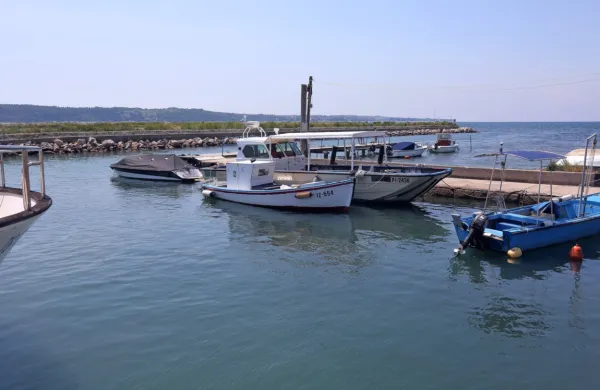 Če bo šlo po občinskih načrtih, bo prenovljeno ribiško pristanišče 
Seča v uporabi spomladi 2023. 