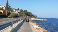 OPN deli priobalni pas na morski in kopenski del, obalno promenado pa bosta koprska in izolska občina 
uredili z regionalnim načrtom (na fotografiji je Molet).  