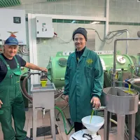 Začenja se letošnja oljkarska sezona