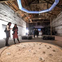 IZIS - vstopite in ukrepajte zdaj!