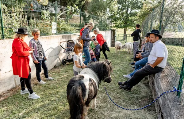 Najmlajši so v Užitnem in čutnem parku v središču Postojne 
spoznavali ovce, ponija, piščančke  in pastirskega psa.