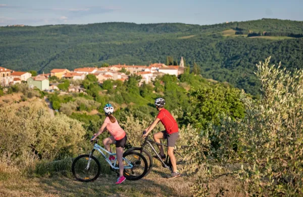 Ena od poti vodi od Pomjana do Koštanbone