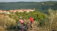 Ena od poti vodi od Pomjana do Koštanbone