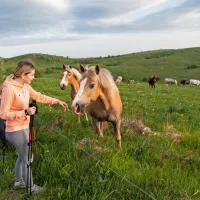 Od Goliča proti Lipniku